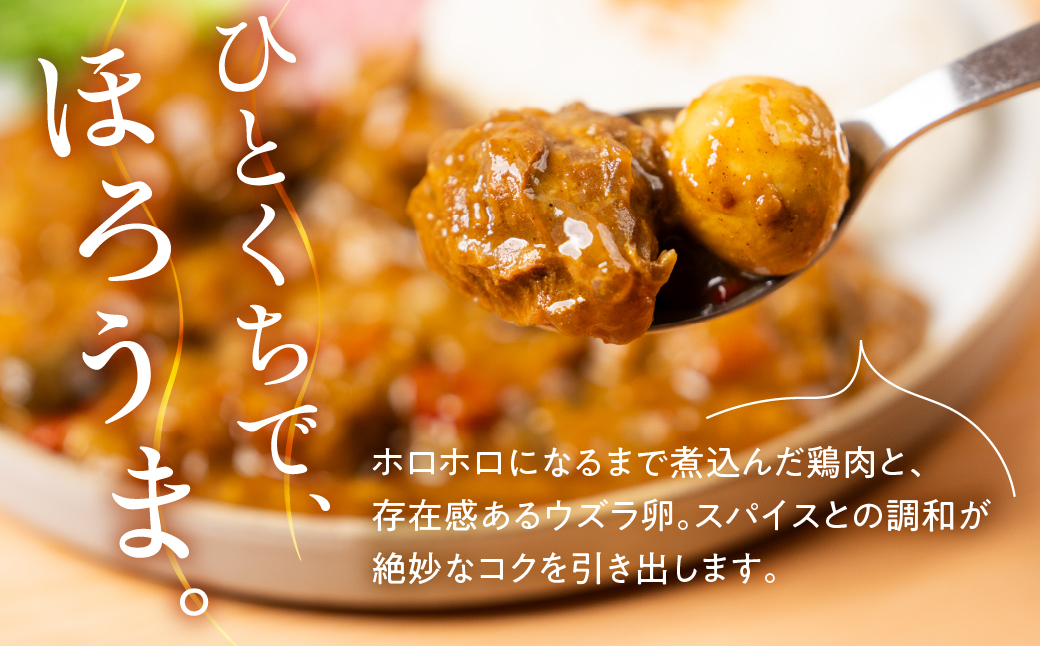 豊橋産の食材を詰め込んだ『豊橋チキンカレー』（１０個セット）