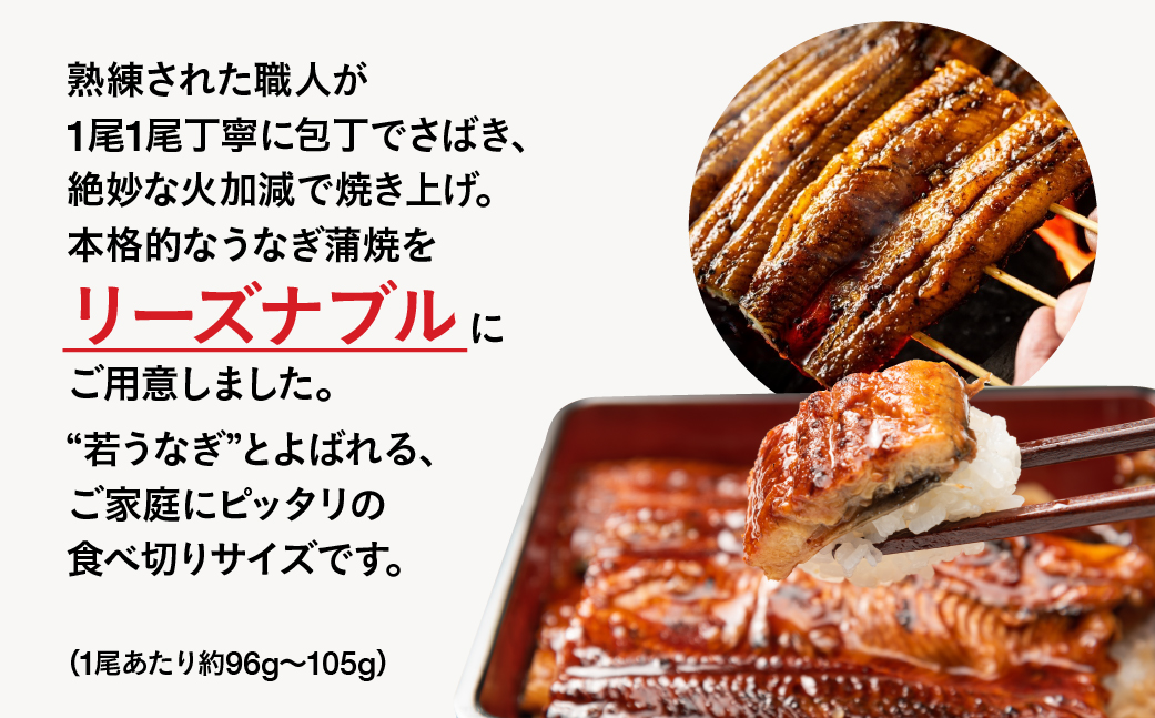 老舗蒲焼本舗の若うなぎ 3尾 セット