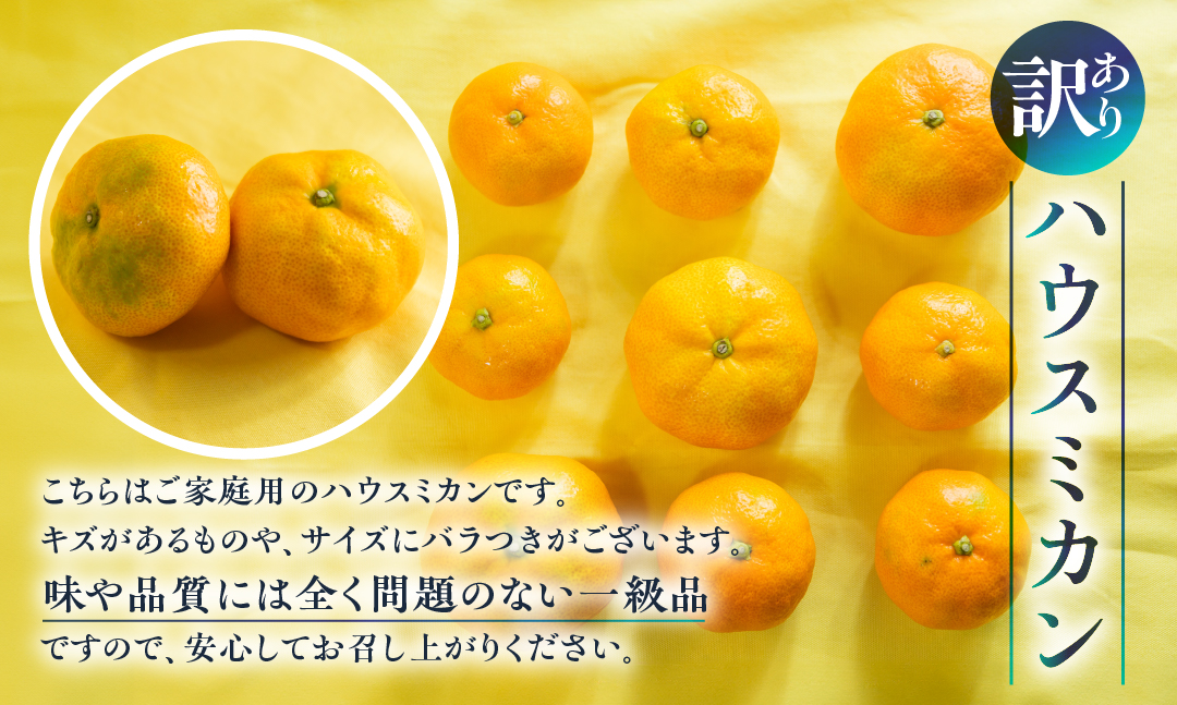 ≪今が旬≫ 超濃厚 ハウスみかん『蜜ツ星』 家庭用 2kg