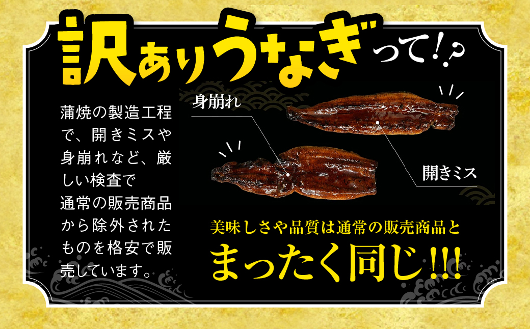 訳あり 国産 うなぎ 500g 蒲焼 うなぎ 愛知県
