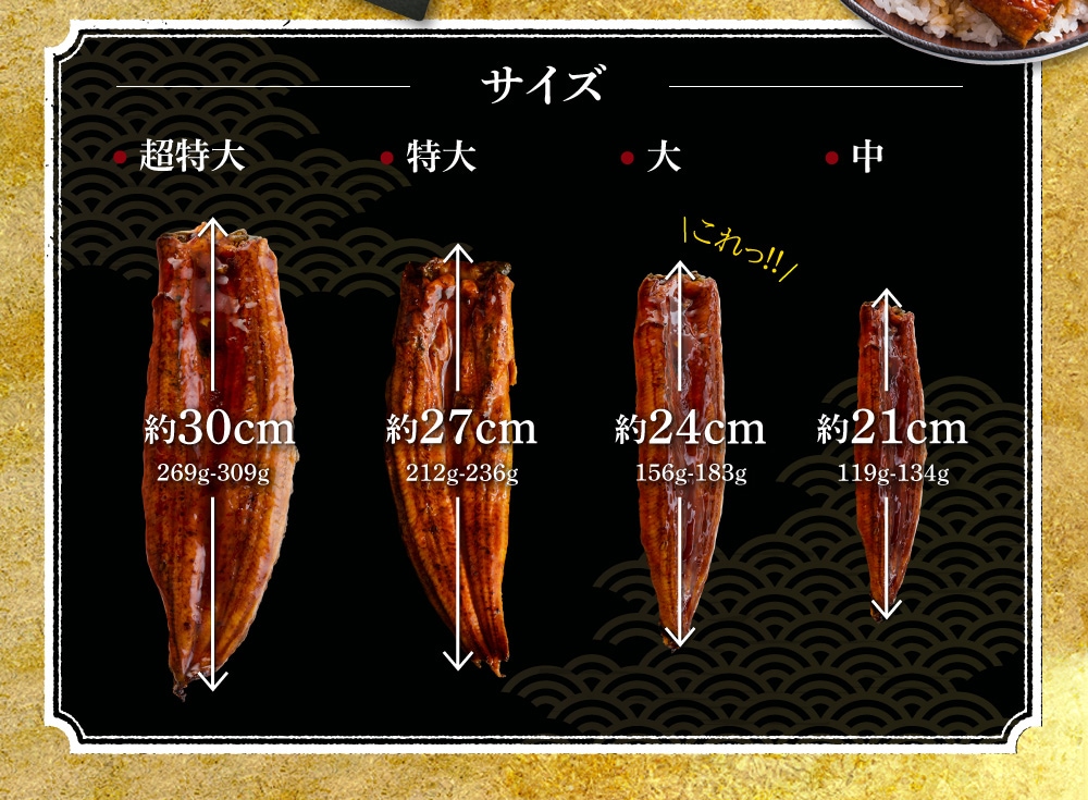 超絶うなぎ蒲焼 大2尾 定期便 3回
