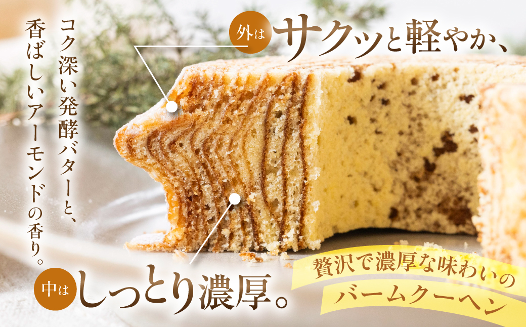 禁断のハードバームクーヘン"TABOO"×1個