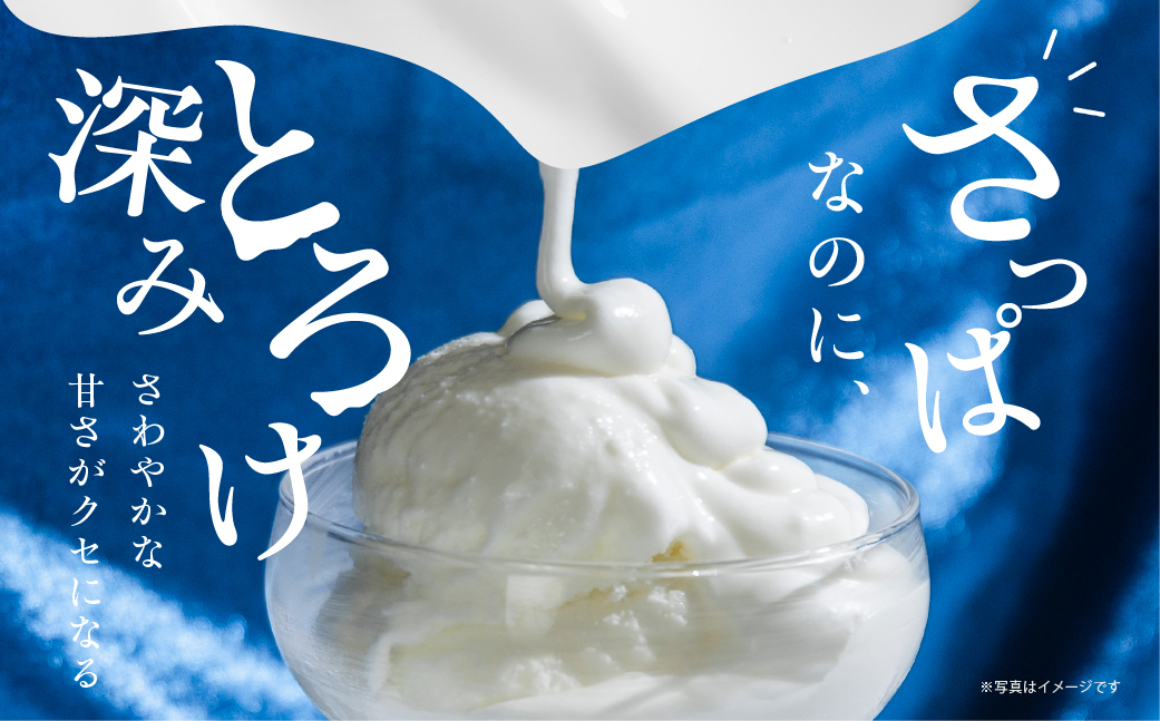 中央製乳 フローズンヨーグルト 12個