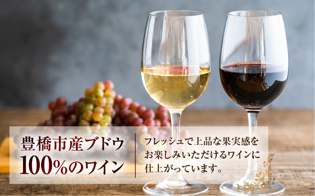 Stein シュタイン スパークリングワイン 1本 石巻産葡萄100％使用 ワイン 国産 スパークリング ワイン