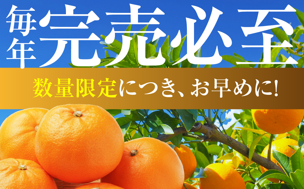豊橋みかん 訳あり 5kg