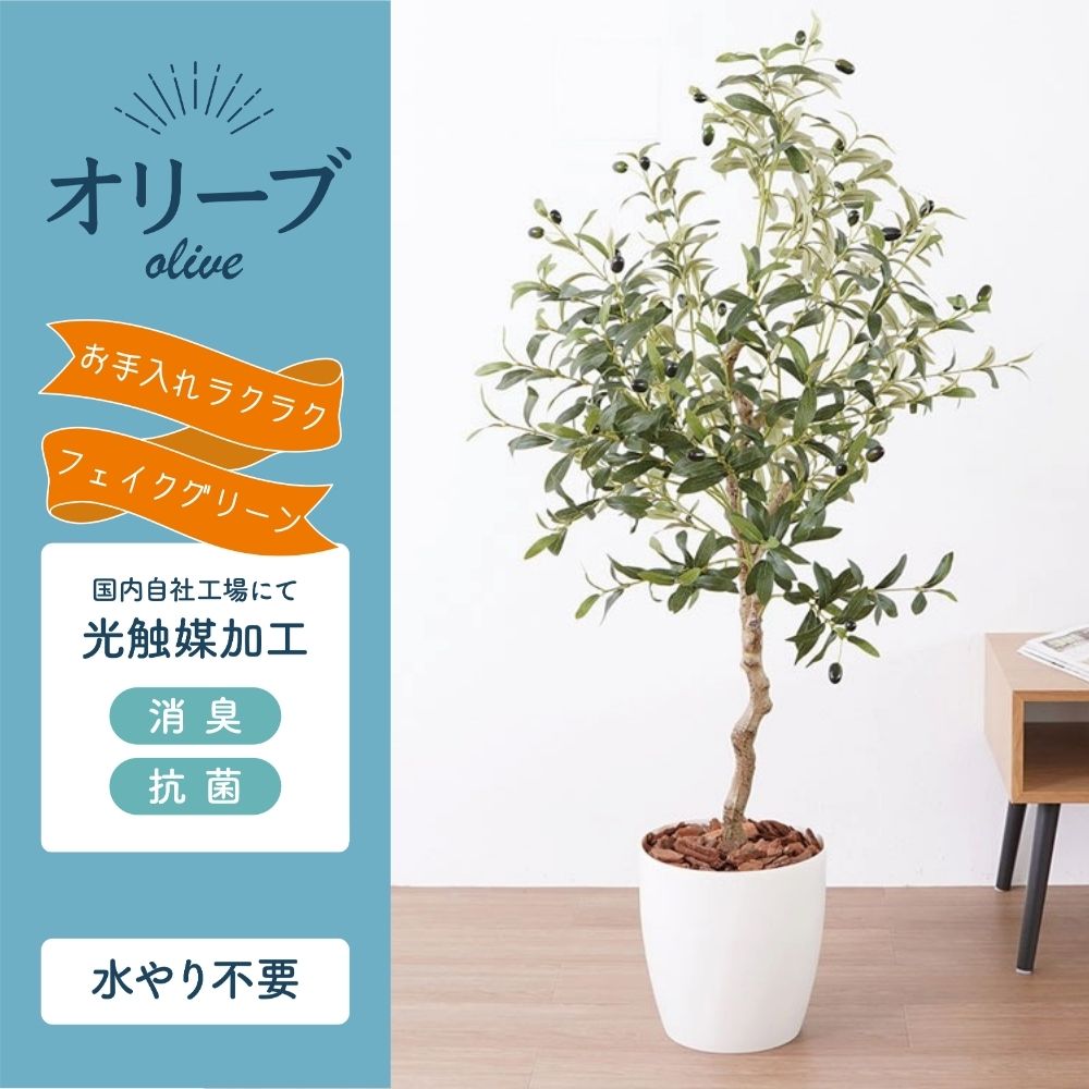 フェイクグリーン オリーブ 130cm 光触媒加工 鉢付き インテリア 抗菌 消臭 愛知県 豊橋市 送料無料 52000円