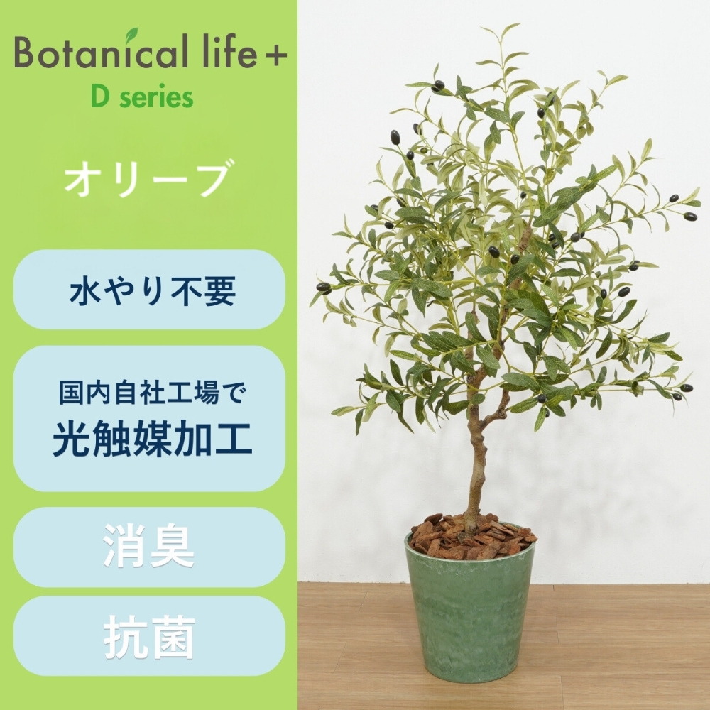 フェイクグリーン Botanical life+ Dシリーズ オリーブ 光触媒加工 鉢付き （鉢： ナチュラルカラー グリーン ） インテリア 抗菌 消臭 愛知県 豊橋市 送料無料 52000円