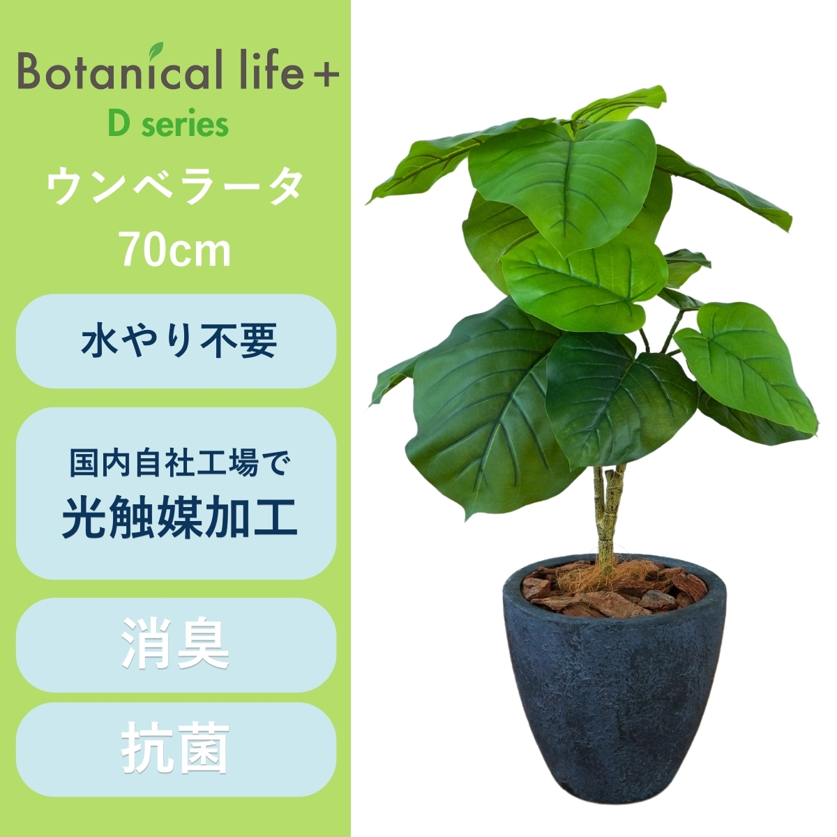 フェイクグリーン Botanical life+ Dシリーズ ウンベラータ 70cm 光触媒加工 鉢付き （鉢： 石造り風 ダークロック） インテリア 抗菌 消臭 愛知県 豊橋市 送料無料 41000円