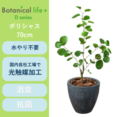 フェイクグリーン Botanical life+ Dシリーズ ポリシャス 70cm 光触媒加工 鉢付き （鉢： 石造り風 ダークロック ） インテリア 抗菌 消臭 愛知県 豊橋市 送料無料 35000円