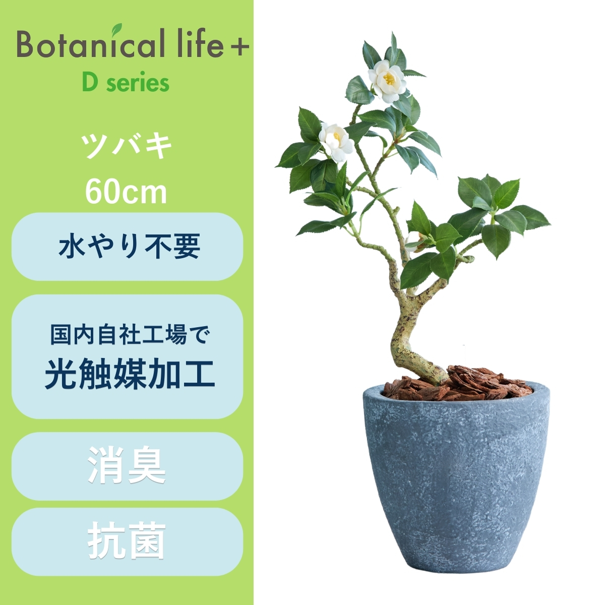 フェイクグリーン Botanical life+ Dシリーズ ツバキ 60cm 光触媒加工 鉢付き （鉢： 石造り風 ライトストーン ） インテリア 抗菌 消臭 愛知県 豊橋市 送料無料 35000円