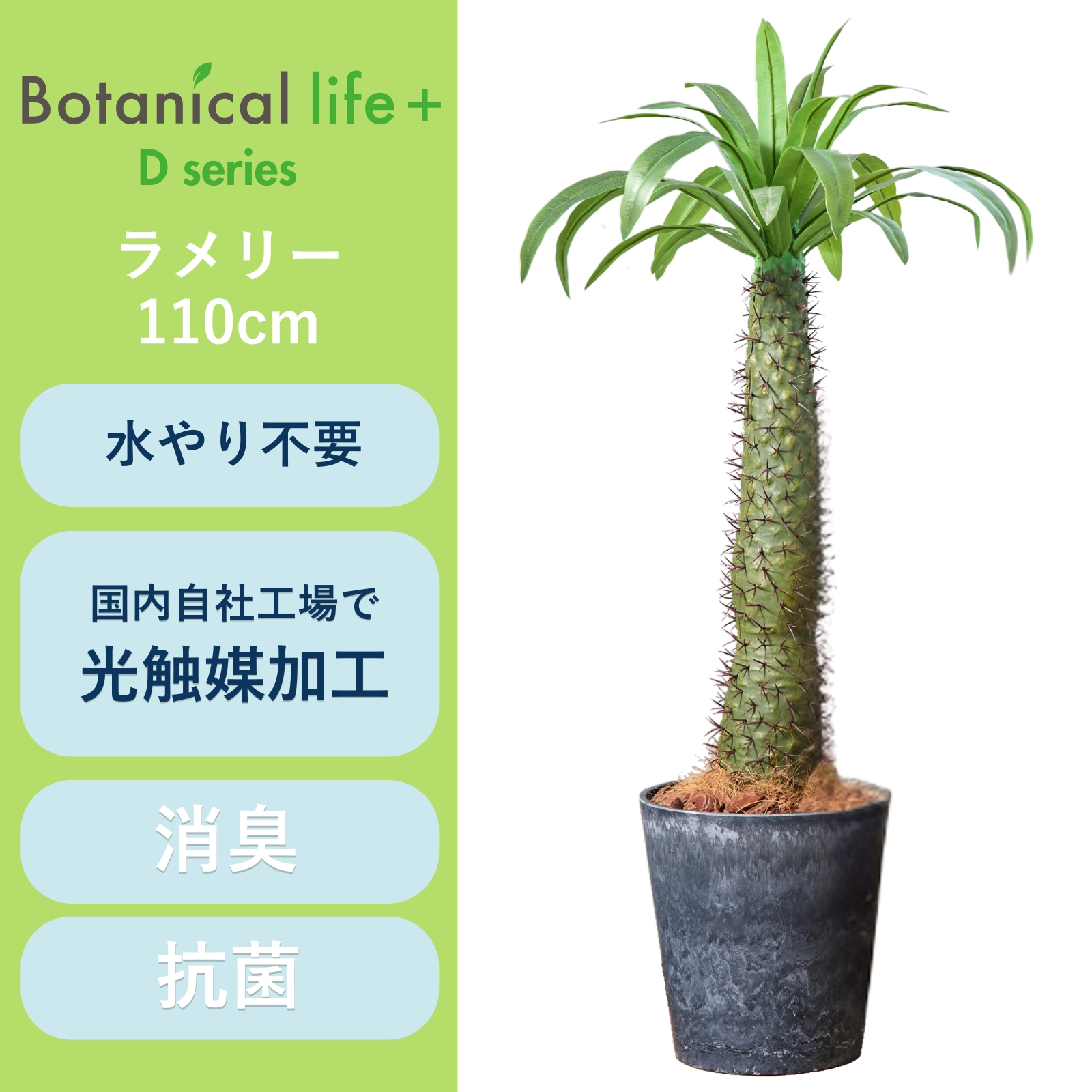 フェイクグリーン Botanical life+ Dシリーズ ラメリー 110cm 光触媒加工 鉢付き （鉢： ナチュラルカラー グレー ） インテリア 抗菌 消臭 愛知県 豊橋市 送料無料 52000円