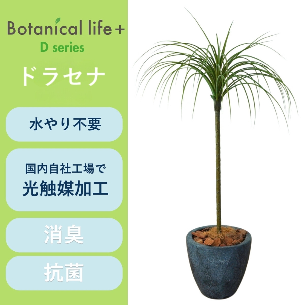 フェイクグリーン Botanical life+ Dシリーズ ドラセナ 90cm 光触媒加工 鉢付き （鉢： 石造り風 ダークロック ） インテリア 抗菌 消臭 愛知県 豊橋市 送料無料 41000円