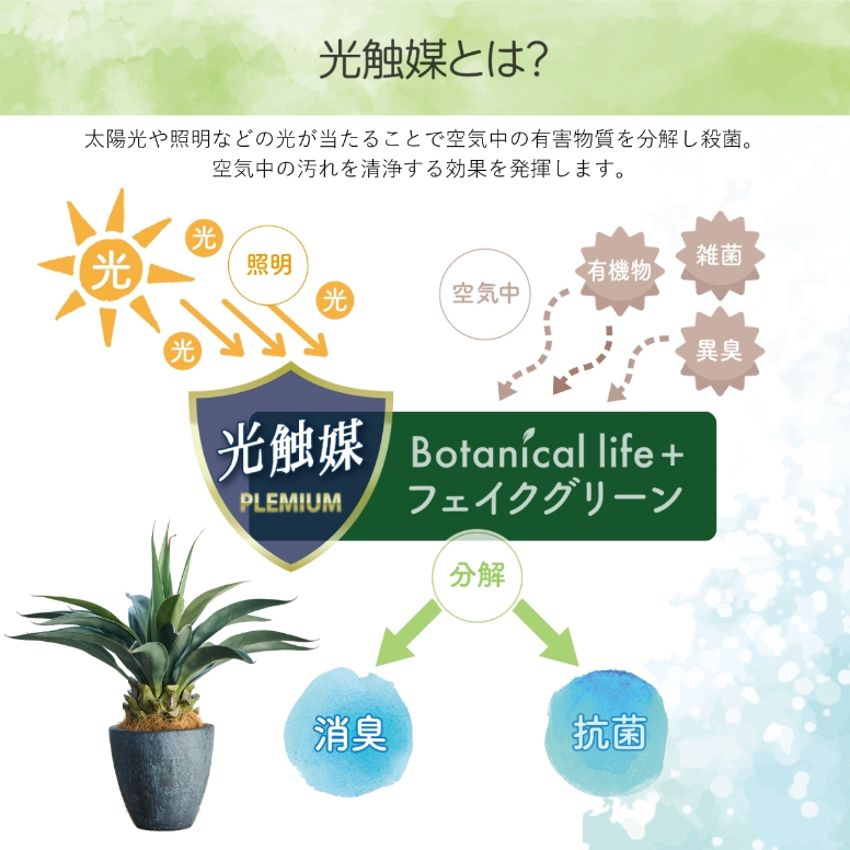 フェイクグリーン Botanical life+ Dシリーズ アガベ 65cm 光触媒加工 鉢付き （鉢： 石造り風 ダークロック ） インテリア 抗菌 消臭 愛知県 豊橋市 送料無料 41000円