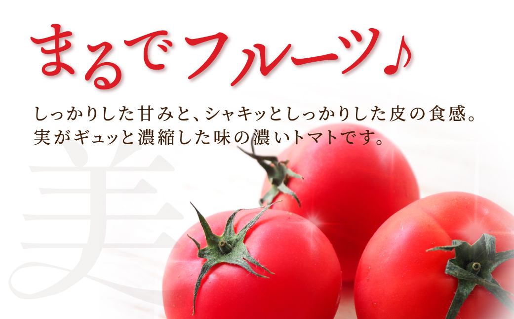 【先行予約】糖度8度！"美"トマト 1kg