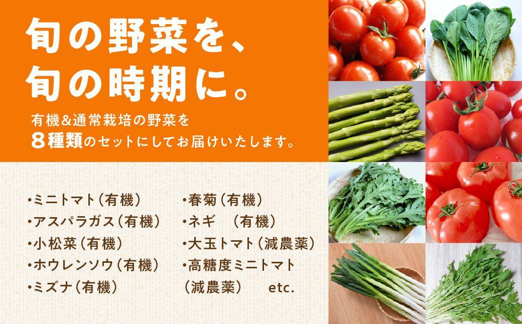 【先行予約】功農野菜8種類セット 8種 野菜 セット 有機栽培 ミニトマト アスパラ トマト ほうれん草 水菜 春菊 ネギ 小松菜 高糖度 新鮮 産地直送 季節の野菜 詰め合わせ やさい 自然 安心安全 旬 送料無料 愛知県 豊橋市