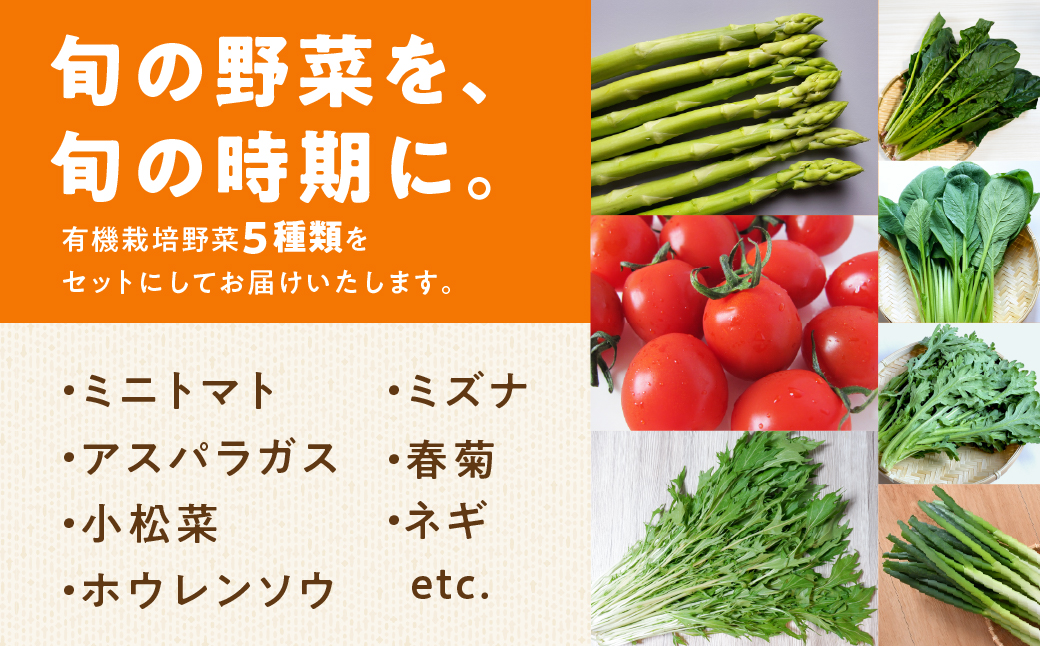 【先行予約】有機野菜セット 5種 野菜 セット 有機栽培 ミニトマト アスパラ ほうれん草 水菜 春菊 高糖度 新鮮 産地直送 季節の野菜 詰め合わせ やさい 自然 安心安全 旬 有機 送料無料 愛知県 豊橋市