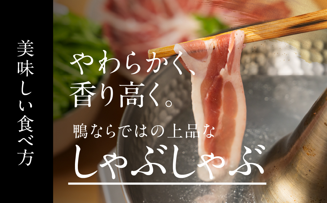 鴨肉のしゃぶしゃぶ 400g あいち鴨肉 堪能 スライス肉 かも ご当地 国産 鴨 合鴨 鍋料理 鍋 もつ鍋 牛もつ を取り扱う 人気 鳥市精肉店 10000円 豊橋市