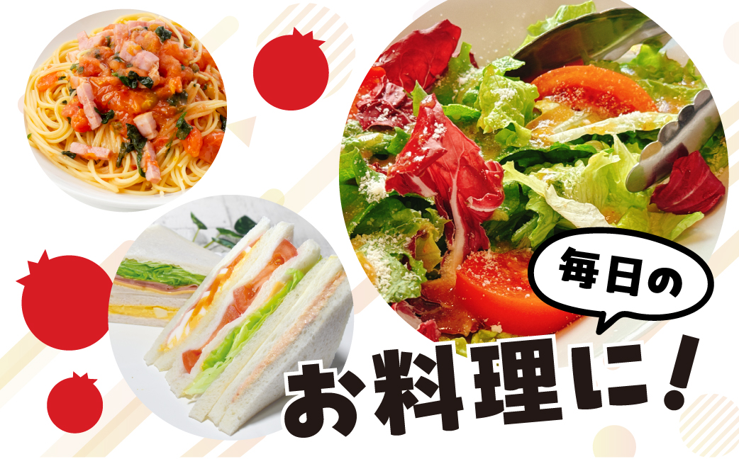 ≪先行予約 2026年発送≫ 訳ありトマト 約1kg とまと トマト tomato 野菜 甘み サンドイッチ サラダ 訳あり 訳アリ わけあり ワケアリ 規格外 旬 旬の野菜 健康 愛知県 豊橋市