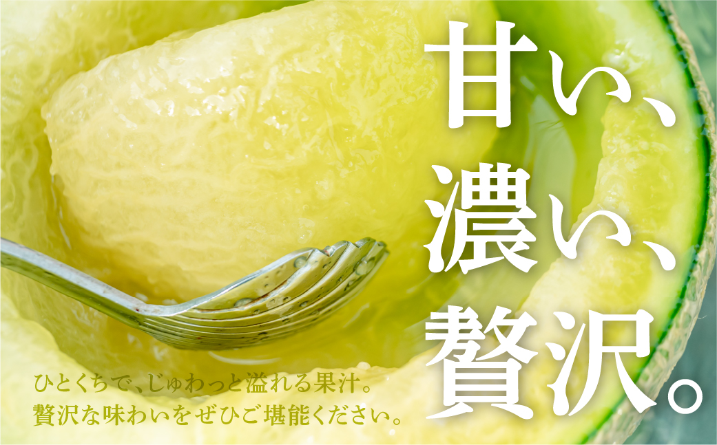 ≪先行予約 2026年発送≫ 温室マスクメロン 2玉【訳あり】めろん メロン マスクメロン 訳あり わけあり 果物 フルーツ デザート 旬 旬の果物 高糖度 糖度 1万円 10000円 愛知県 豊橋市