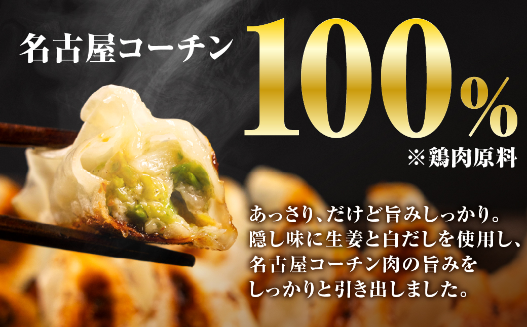 名古屋コーチン餃子 36個 (12個入×3パック) 冷凍餃子 こだわり餃子 おススメ 美味しい 餃子 ぎょうざ ギョウザ ギョーザ 惣菜 冷凍 名古屋コーチン 地鶏 ブランド地鶏 冷凍食品 セット 国産 国産素材 詰め合わせ 愛知県 豊橋市