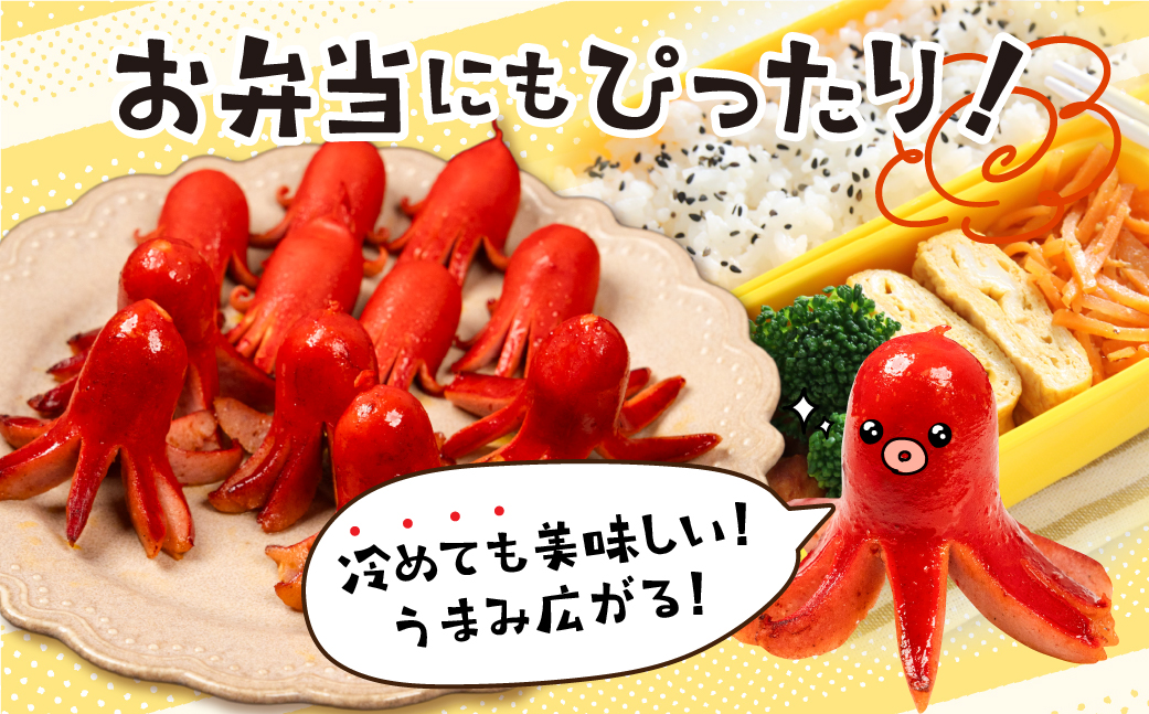 赤ウインナー 計2kg 500g×4 パリっと食感 ジューシー 国産 10000円 大容量 訳あり 高品質 おかず 毎日の食卓に お弁当 デコ弁 晩酌 飾りウインナー ソーセージ ウィンナー焼いても コクのある味