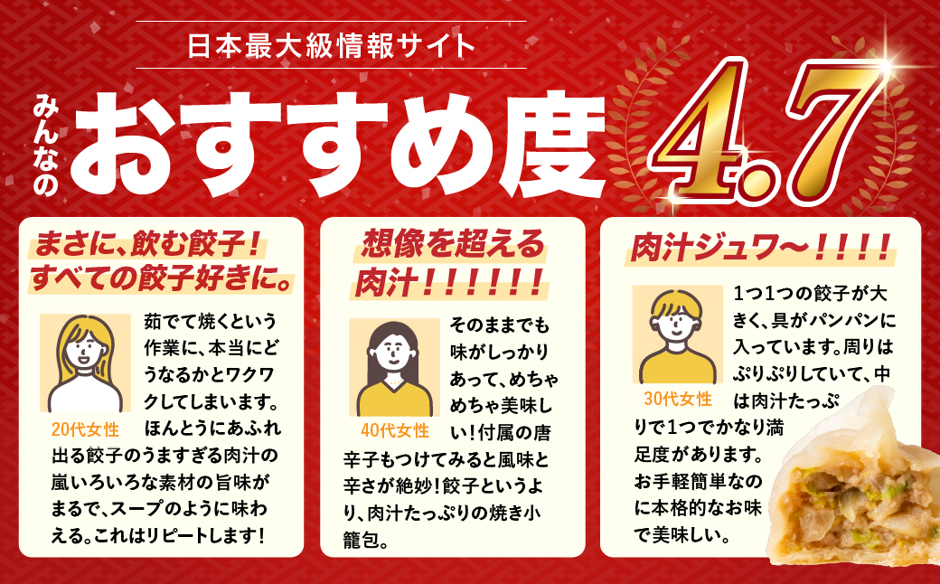 とよはし お試しサイズ『最強肉汁餃子』10個入り 簡易包装