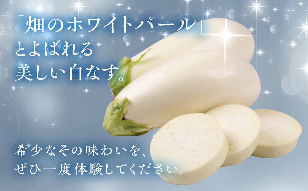 ≪先行予約≫白茄子 6本 ナス 茄子 なす なすび 白なす しろなす 白ナス 白茄子 野菜 旬 旬の野菜 糖度 石田茄子 お取り寄せ 健康 夕飯 おかず 愛知県 豊橋市