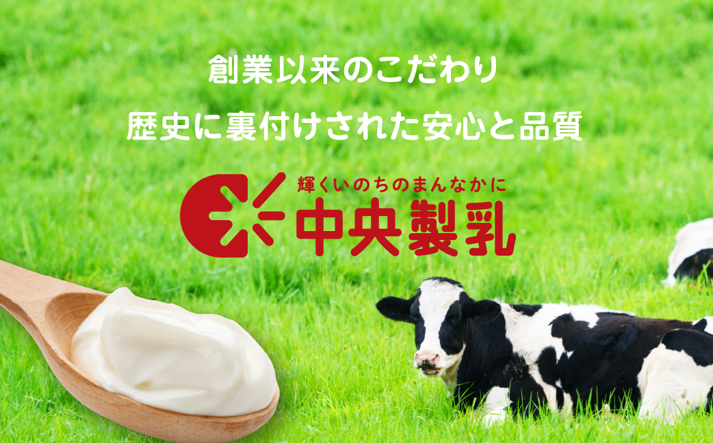 中央製乳 中央ヨーグルト2p 10個 セット こだわり なめらか おやつ デザート 乳製品 乳酸菌 健康 腸活 ロングセラー 愛知県 豊橋市