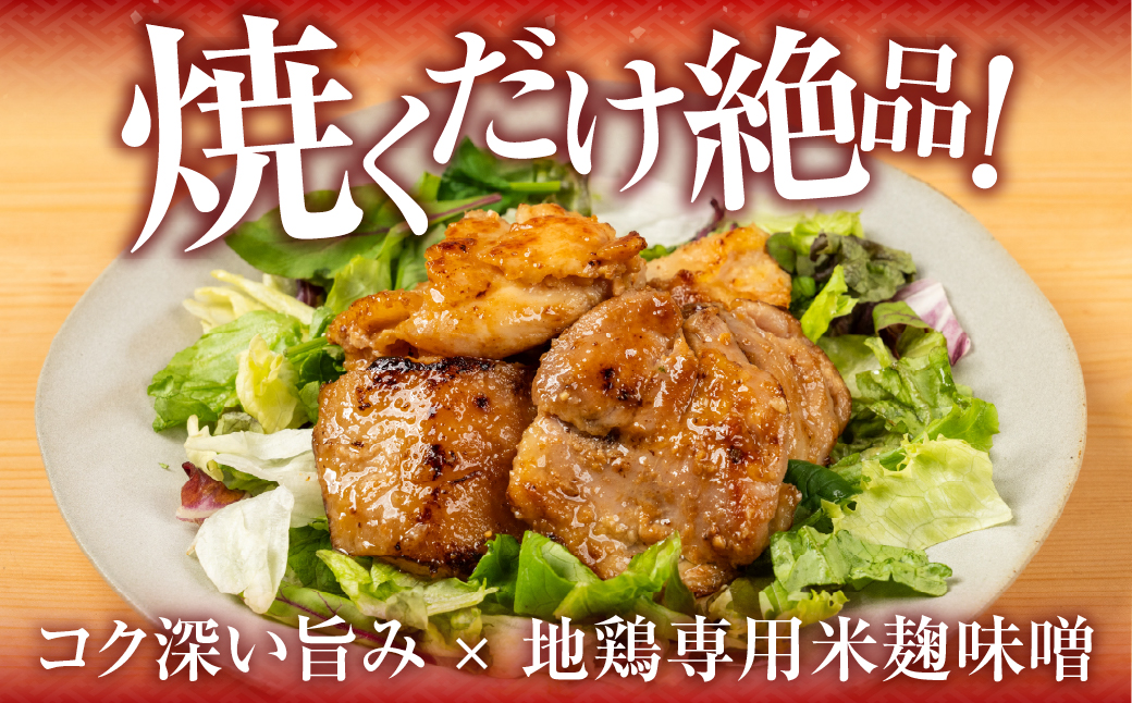 名古屋コーチン味噌漬 800g 味付け肉 味付き肉 味付け 味付き 国産 もも むね 鶏肉 鳥肉 モモ ムネ もも むね 名古屋コーチン 地鶏 ブランド地鶏 とりもも とりむね 錦爽鶏 愛知県 豊橋市 肉 お肉 冷凍 愛知県 豊橋市