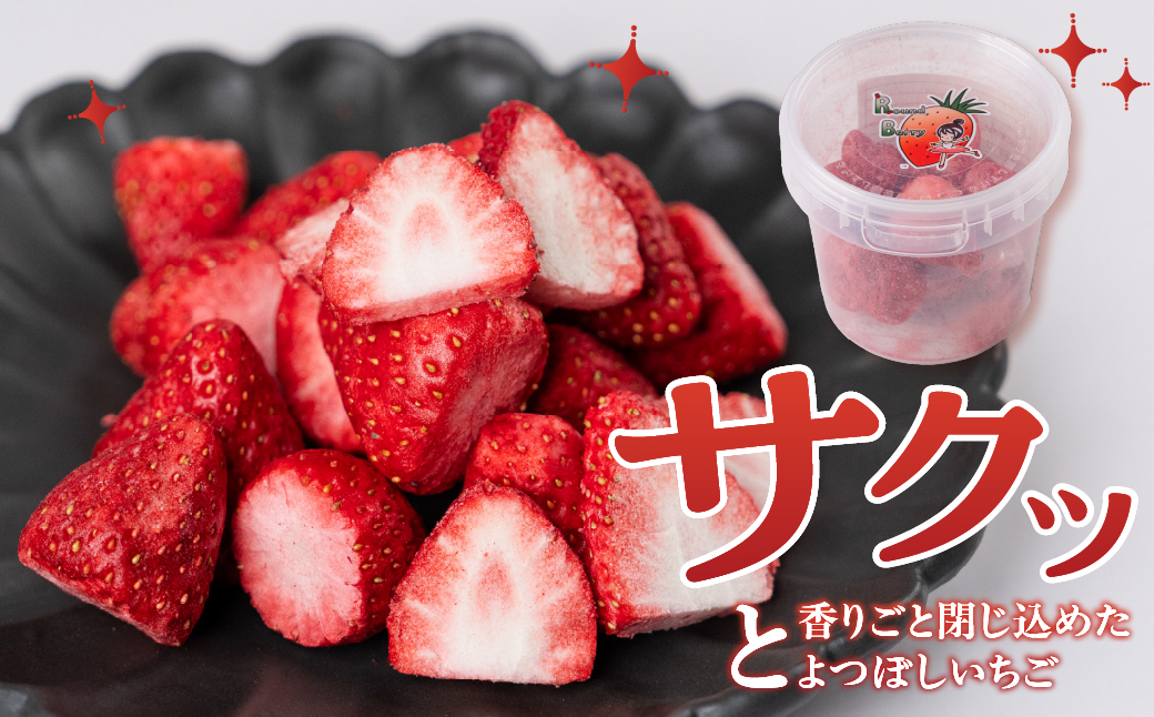 【先行予約品】フリーズドライいちご よつぼし 苺 国産 豊橋産 甘い ヘルシー 健康 おやつ おいしい デザート 手軽 ヨーグルト や シリアル に アイスに添えて ビタミンC ポリフェノール 抗酸化 豊橋市 小分け 製菓 プチギフト プレゼント