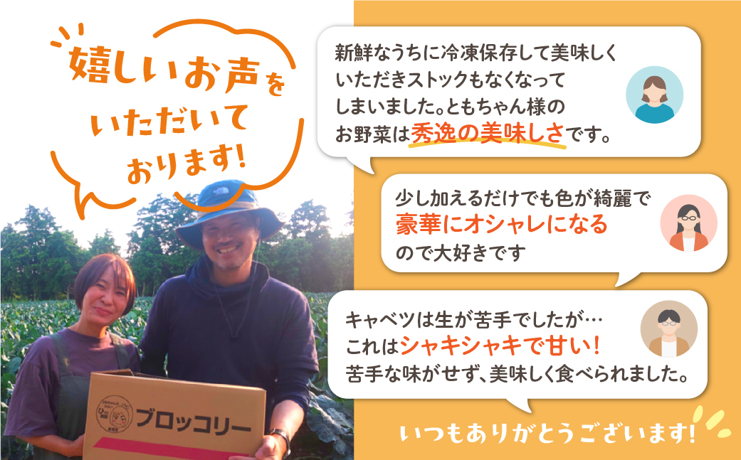旬のキャベツ 12玉 7回お届け 定期便 ミネラルたっぷり 海風そだち 潮風 豊橋 国産 家族で 大容量 ともちゃんのやさい 大人気！ 愛知県 豊橋市 安心野菜 キャベツ 冬キャベツ 春キャベツ 初夏キャベツ