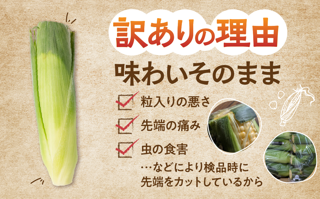 ≪先行予約≫ 令和8年産（2026年収穫）訳あり とうもろこし 10本 直売所で大人気 愛知県 豊橋市 夏野菜 野菜 ミネラルたっぷり 海風そだち 潮風 BBQ 家族で フードロス わけあり 規格外 大容量 豊橋 ともちゃんのやさい