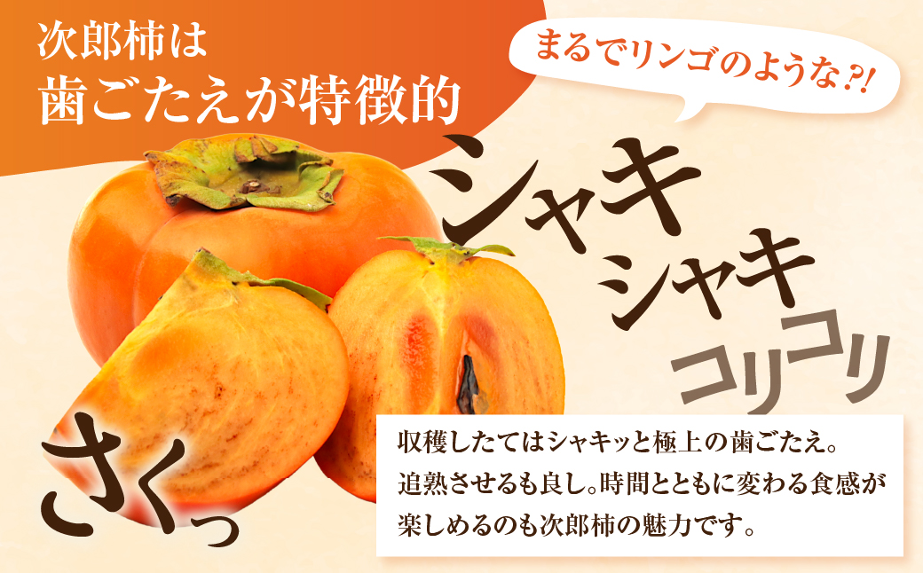 ≪来年分予約開始≫ 2026年産 生産量日本一 豊橋石巻産 次郎柿 ご自宅用 ≪3kg≫ 柿 訳あり 甘柿 果物 フルーツ 10月 11月 愛知県 豊橋市 ビタミンC 腸活 産地直送 農家直送 数量限定