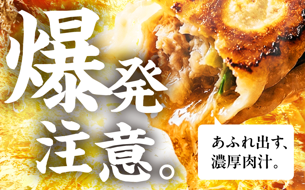 ＼メディアで話題！／ 最強肉汁餃子 2箱（40個） 餃子 冷凍餃子 惣菜 ギョーザ ぎょうざ 中華 簡単調理 簡単 人気 ランキング 肉汁 美味しい 国産素材 豚肉 豚 ギフト 贈答 もっちり 冷凍惣菜 お惣菜 つまみ 愛知県 豊橋市