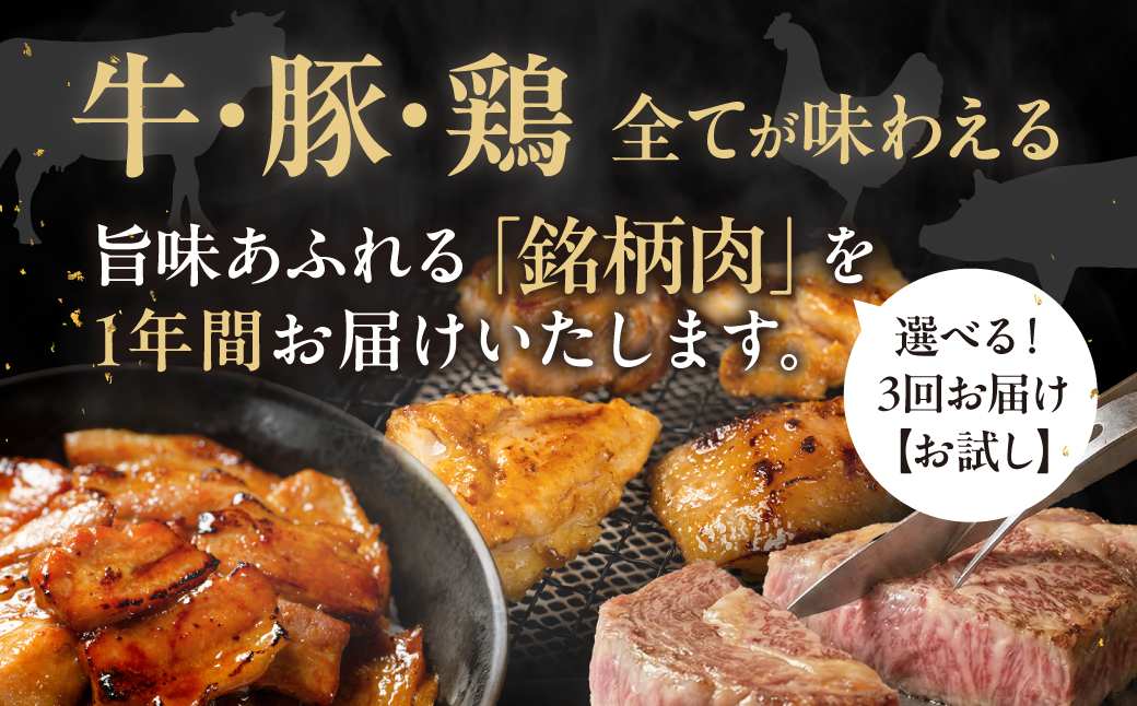 特選！贅沢お肉定期便 12回 肉 牛肉 豚肉 鶏肉 ブランド牛 サーロイン ロース バラ 焼肉 すき焼き ステーキ しゃぶしゃぶ 名古屋コーチン ミンチ 切り落とし 黒毛和牛 和牛 定期便 12ヶ月 毎月お届け どうまい 愛知県 豊橋市 送料無料