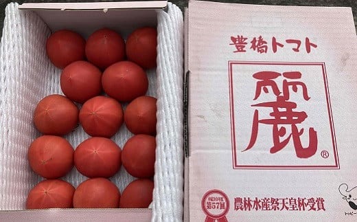 【先行予約】農業王国豊橋の『高糖度フルーツトマト麗（れい）』１kg