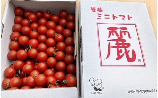 【先行予約】農業王国豊橋の『高糖度ミニトマト麗（れい）』１kgバラ