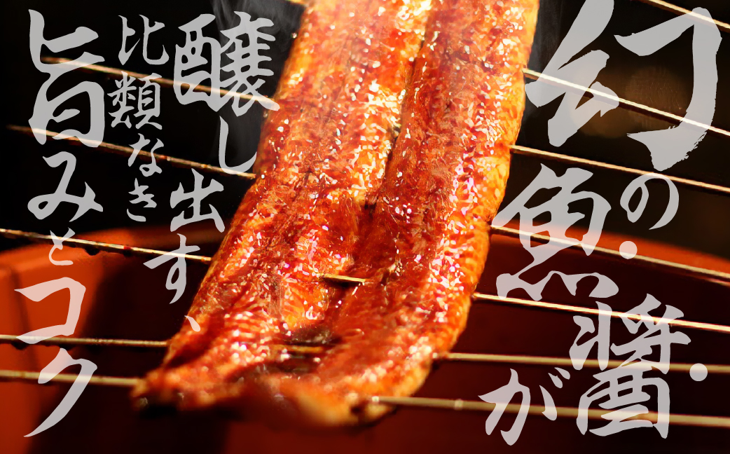 愛知県三河産　幻醸うなぎ　蒲焼き 3尾