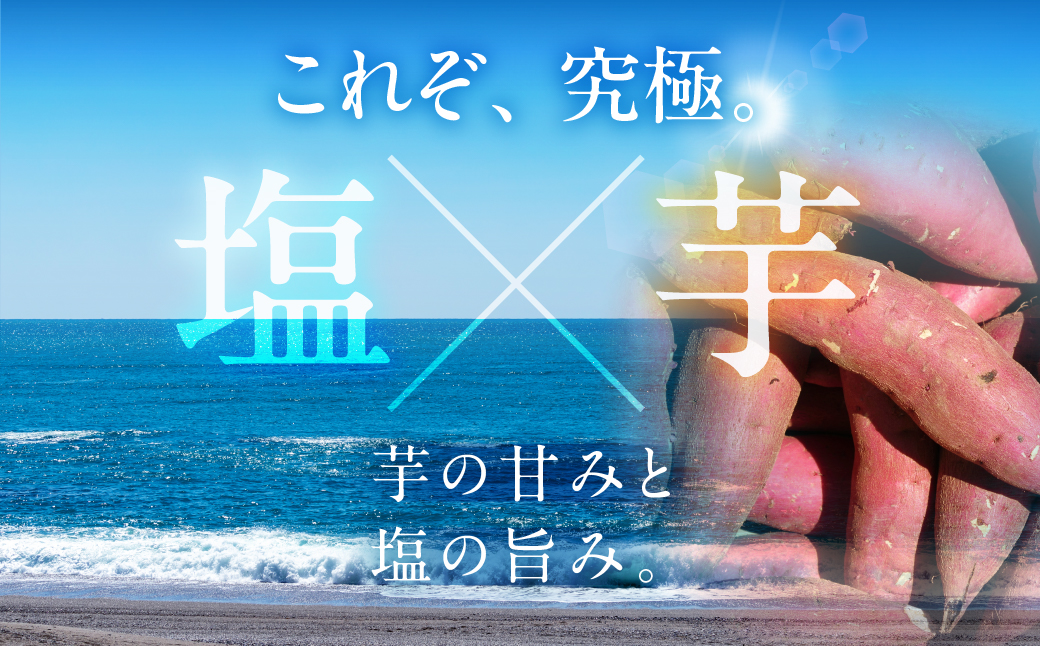 究極の塩干し芋 3袋セット 国産 干し芋