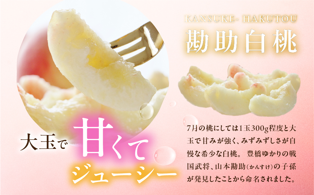 出荷時期はわずか２週間！ 豊橋産『石巻の勘助白桃 2.5～3kg（6～10玉）』
