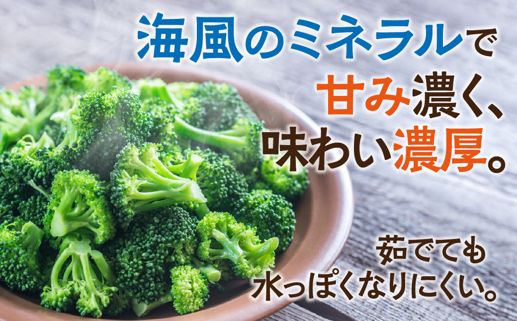 ≪先行予約≫ブロッコリー 5本 豊橋 国産 ミネラルたっぷり 海風そだち 潮風 家族で 大容量 豊橋 ともちゃんのやさい 直売所で大人気！ 愛知県 豊橋市 安心野菜