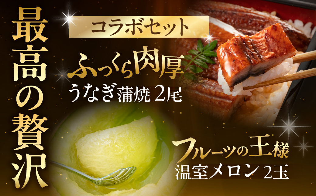 国産うなぎ & 温室メロン セット うなぎ 訳あり 蒲焼 2尾 メロン 2玉 ウナギ 鰻 蒲焼き 土用丑の日 丑の日 簡単調理 惣菜 フルーツ くだもの unagi 暑さ 対策 贅沢 簡単調理 惣菜 デザート 愛知県 豊橋市
