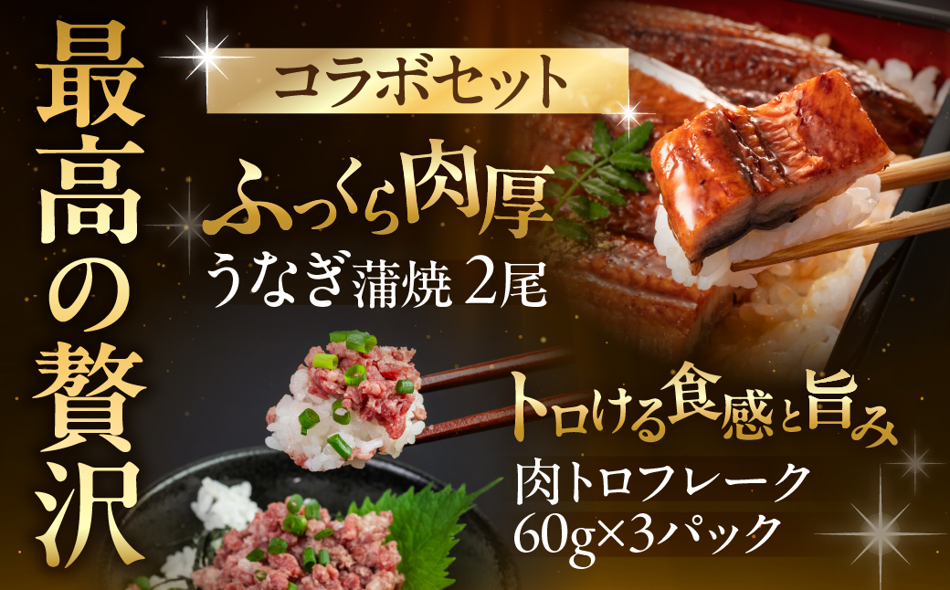 国産うなぎ & 牛肉トロ セット うなぎ 肉トロ 訳あり 蒲焼 2尾 牛トロ 3パック ウナギ 鰻 蒲焼き 土用丑の日 丑の日 簡単調理 惣菜 おつまみ 牛フレーク 生肉 生食用 生食 レア unagi 暑さ 対策 贅沢 簡単調理 惣菜 愛知県 豊橋市