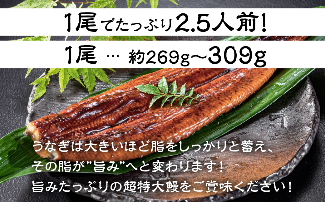ふっくら肉厚！『一番うなぎ』 超特大 4尾 国産うなぎ蒲焼