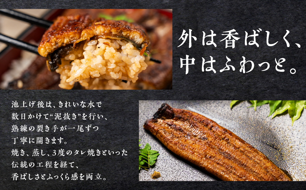 山義養魚の『うなぎ晴々』 5尾 希少  豊橋うなぎ 蒲焼 厳選 国産 新仔うなぎ 若うなぎ 鰻 簡易包装 ウナギ うなぎ 鰻 蒲焼 ギフト ひつまぶし 土用丑の日 ギフト 冷凍  丑の日 簡単調理 豊橋うなぎ お取り寄せ 送料無料