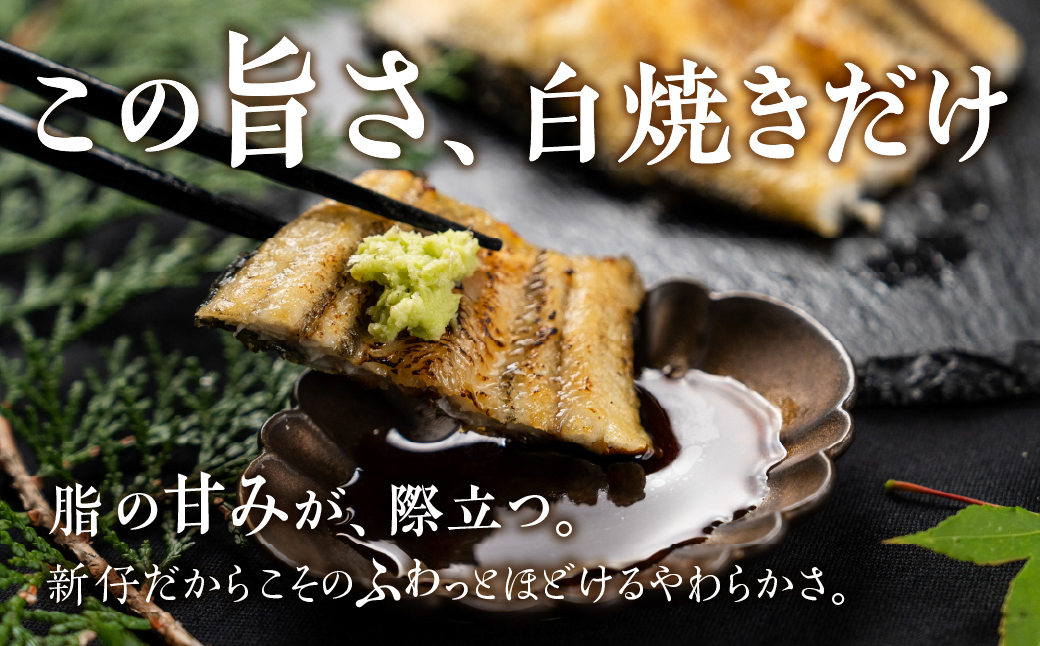 山義養魚の『うなぎ晴々』 白焼 2尾 希少 豊橋うなぎ 厳選 国産 新仔うなぎ 若うなぎ 鰻 簡易包装 ウナギ 鰻 ギフト 土用丑の日 ギフト 冷凍 お取り寄せ 送料無料 日本酒と わさび 山椒 塩 大人 贅沢