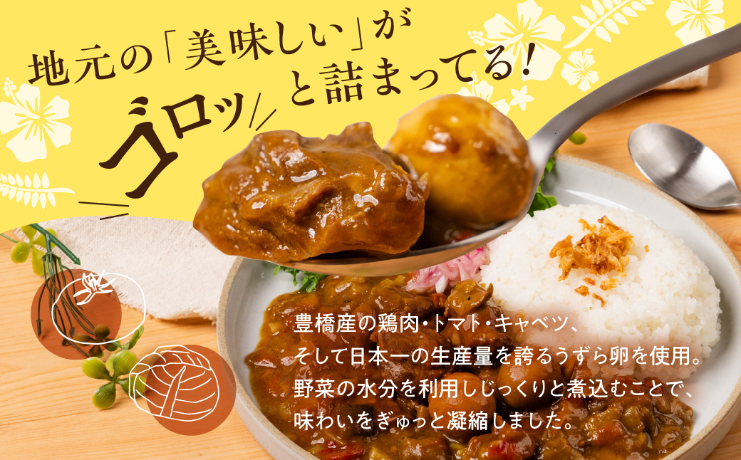 豊橋産の食材を詰め込んだ『豊橋チキンカレー』（１０個セット）