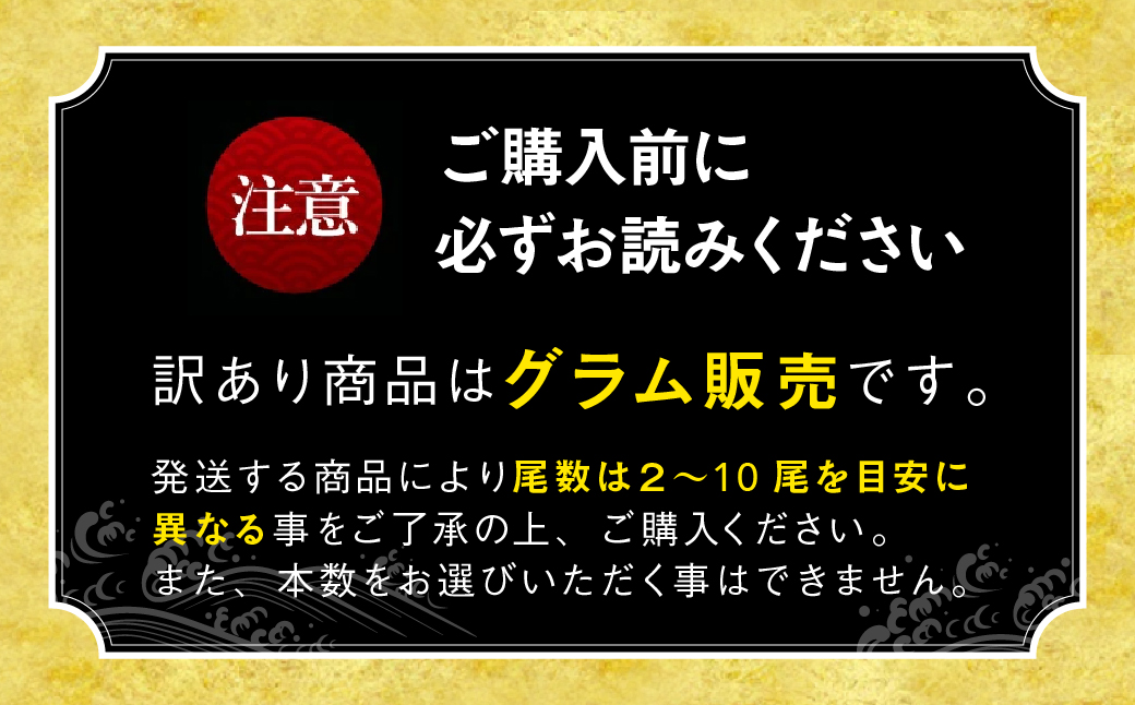 訳あり 国産 うなぎ 500g 蒲焼 うなぎ 愛知県