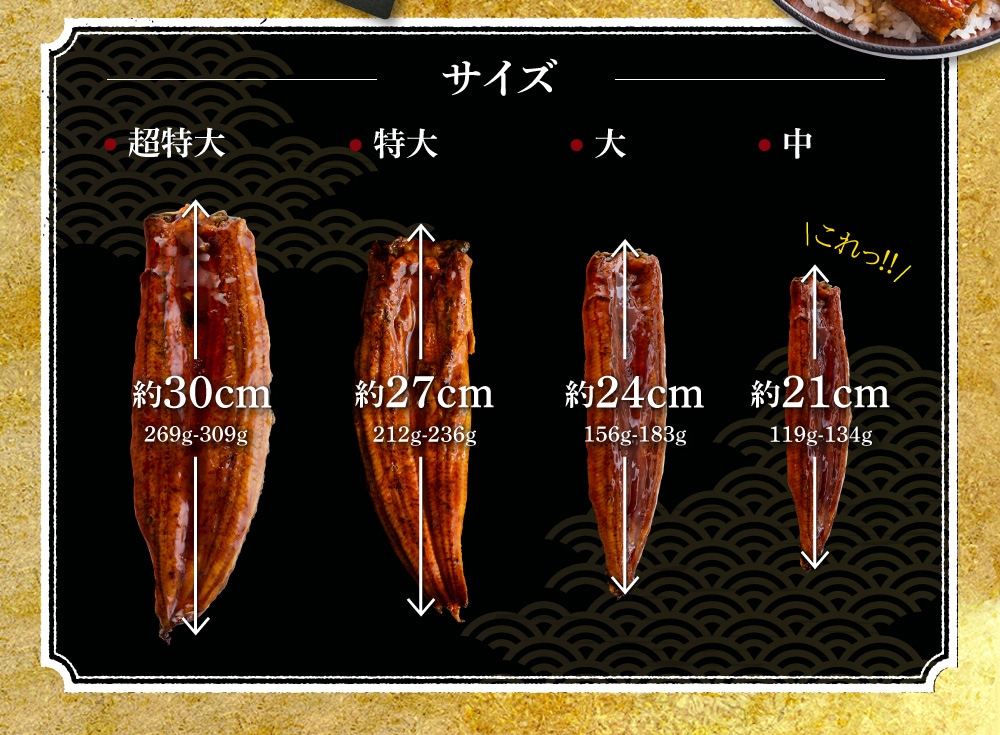 超絶うなぎ蒲焼 中2尾 定期便 6回