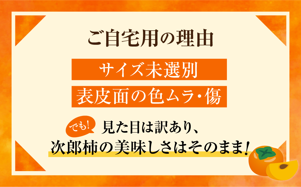 生産量日本一！皇室献上品『百年柿園　ベル・ファーム　次郎柿（ご自宅用不揃い）3kg』（12～16玉）